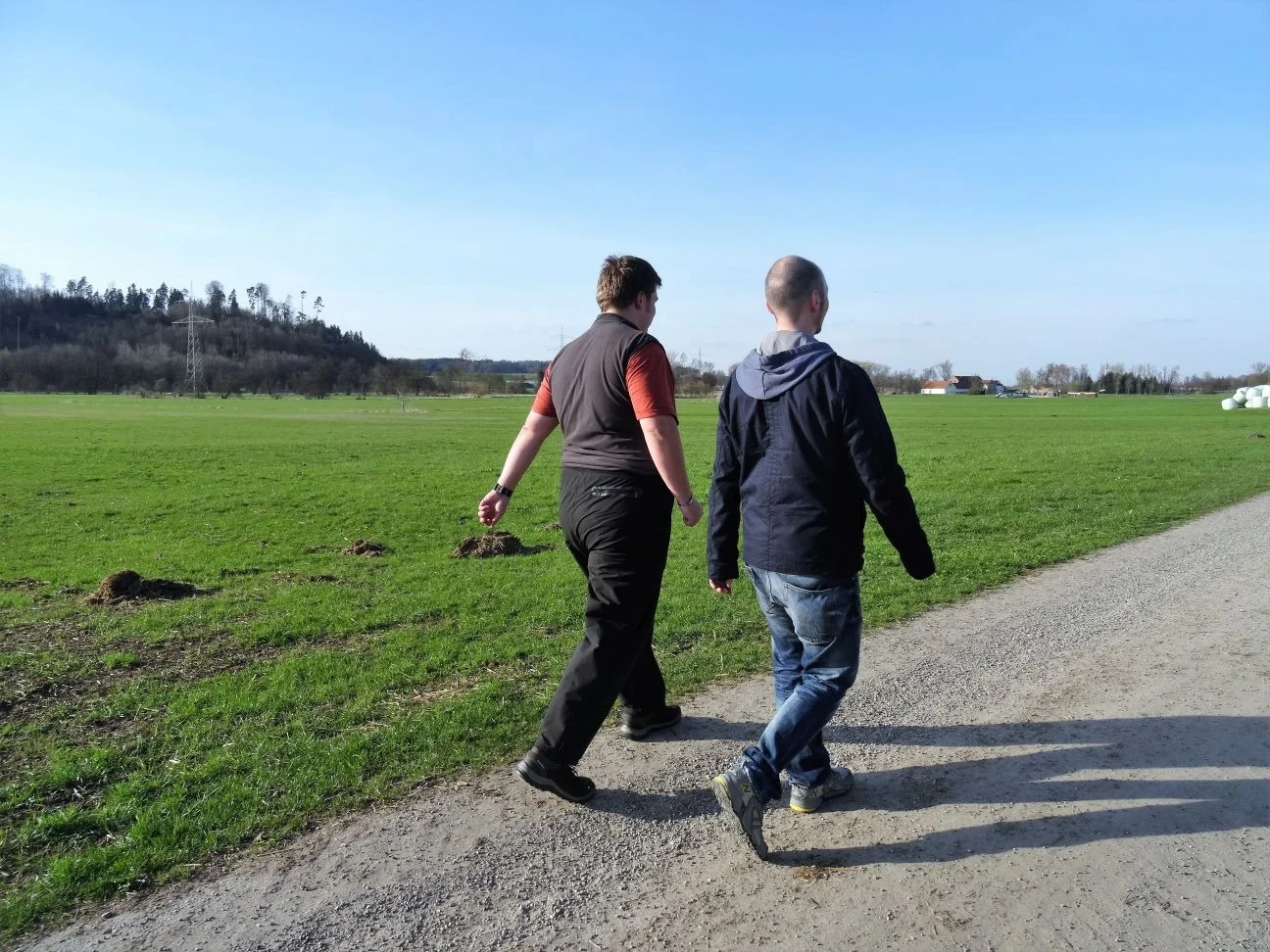 Coachingbegleitung in der Natur von Joachim Domes