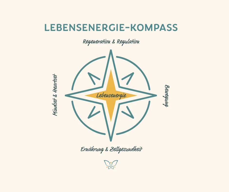 1:1 Lebensenergie-Kompass von Anja Stölzel